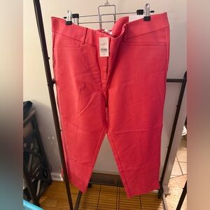 NWT LOFT RIVERA PANTS- pink